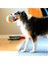 ! Indoor Ball Eve Özel Yumuşak Oyun Topu - Köpekler Için Iç Mekan Getirme Topu 6