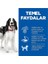 Hill's Advanced Fitness Kuzulu Orta Irk Yetişkin Köpek Maması 2.5kg 3