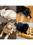 Sünger Kedi Köpek Çiğneme ve Oyun Topu 4 Adet 2