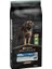 Large Robust Adult Kuzu Etli Köpek Maması 14 kg 2