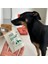 Kedi ve Köpekler Için Multivitamin Bağışıklık Sistemi Destekleyici 2g x 15 Saşe 5