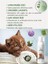 Köpek ve Kedi Için Durulamaya Gerek Olmayan Lavanta Özlü Temizleme Köpüğü, 150 ml 4