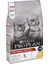 Purina Original Kitten Tavuklu Kuru Kedi Maması, 1,5 Kilogram 2