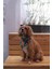 Hayvan Desenli Köpek Fuları Bandanası Köpek Kıyafeti Yeşil Xs 1