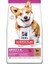 Hill's Sp Kuzulu ve Pirinçli Küçük ve Mini Irk Yetişkin Köpek Maması 5+1kg 1