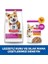 Hill's Sp Kuzulu ve Pirinçli Küçük ve Mini Irk Yetişkin Köpek Maması 5+1kg 6