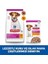Hill's Scıence Plan Küçük Irk Kuzulu & Pirinçli Yavru Köpek Maması 6 kg 6