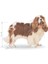 Cavalier King Charles Adult Köpek Maması 3 kg 2