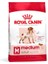Medium Kuru Köpek Maması, Yetişkin, 15 kg 1