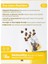 . Paw - Immunity Plus Büyük Irk Köpekler Için Zindelik ve Organ Sağlığı Destekleyici Çiğnenebilir 3