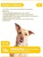 . Paw - Immunity Plus Büyük Irk Köpekler Için Zindelik ve Organ Sağlığı Destekleyici Çiğnenebilir 5