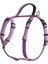Halti Köpekler Için Yürüyüş Göğüs Tasması, L Boy, Mor 7