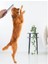 Tüy Açıcı Köpek ve Kedi Tarağı, Kıtık Açıcı Tarak Kırılmaz Metal Dişli, Evcil Hayvan Bakım Fırçası 2