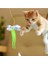 Elastik Kendinden Yapışkanlı Renkli Kedi Oyun Oltası Kedi Oyuncağı Yapışkanlı Olta Eğitim 1