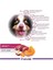 Yetişkin Köpekler Için Kuzu Etli Kuru Köpek Maması (3 Kg, Kuzu) 4