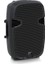 PK112 600-WATT 12" Pasif Stüdyo Monitör 2