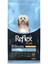 Plus Skin ve Coat Somonlu Mini ve Küçük Irk Yetişkin Köpek Maması 3 kg 2