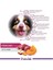Kısırlaştırılmış Yetişkin Köpekler Için Kuzu Etli Kuru Köpek Maması (7 Kg, Kuzu) 3