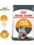 Hair & Skin Care Kedi Maması, 2 kg 2