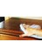 Doğal Ahşap Cilası Üstün Koruma 250 ml + Mikrofiber Bez Natural Wood Polishing Wax 4