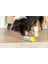 Köpek Zeka Eğitim Oyuncağı 7