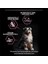 Medium Puppy Somonlu Köpek Maması 12 kg 5