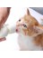 Yavru Kedi Köpek Biberonu 2 Emzikli 50 ml (1 Adet) 1