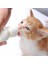Yavru Kedi Köpek Biberonu 2 Emzikli 50 ml (1 Adet) 3