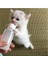 Yavru Kedi Köpek Biberonu 2 Emzikli 50 ml (1 Adet) 4