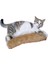 Kedi Oyuncağı Sarılma Yastığı Uyku Oyuncağı Kedi Otlu 30 cm Peluş (1 Adet) (Kahverengi) 1