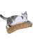 Kedi Oyuncağı Sarılma Yastığı Uyku Oyuncağı Kedi Otlu 30 cm Peluş (1 Adet) (Kahverengi) 2