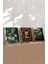 Ahşap Çerçeveli Mdf Tablo Seti – Kedi Saat & Botanik Görsel (3’lü Kombin) 23 x 23 4