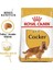 Cocker Adult Köpek Maması, 3 kg 2