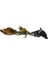 Can TH7500 Kutuda Deniz Hayvanı 12Lİ 1