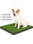 Pet Park Mini Yavru Köpek Tuvalet ve Eğitim Çiti 2
