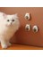 Ayıcıklı Kedi Otu Yalama Topu 4