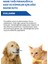 Kedi ve Köpekler İçin Ağız Bakım Suyu 100 ml 4