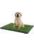 Pet Park Mini Yavru Köpek Tuvalet Eğitimi 4
