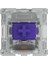 Pc Gaming Race Kailh Pro Purple Switches (120 Adet), Oyun Klavyesi Için Taktik ve Sessiz An 3