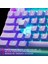 Apex 3 Tkl Rgb Suya ve Toza Dayanıklı Türkçe Gaming Klavye – Lila 5