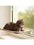 Petzoom Pencereye Monte Kedi Yatağı 2