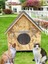 Kedi Evi Kedi Yuvası Kedi Barınağı 2 Kedilik 40X45X45CM 3
