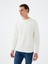 Beyaz Erkek Sweatshirt LF2037183 1