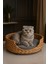 Dekoratif Hasır Kedi Köpek Yatağı Sepet 46X35X36CM 1