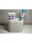 Diş Fırçalık | Modern Çizgili Banyo Organizeri | Minimalist Ikili Fırça ve Macun Standı 1