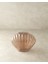 Shell Cam 3