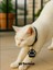 Patili Kedi Künyesi | Siyah & Beyaz | 3D Baskı Pla | Kişiselleştirilebilir Isimli Kedi Künyesi 2