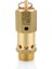 1/4" 17 Bar Standart Basinçli Emniyet Ventili 1