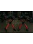 Ayarlanabilir Dambıl ve Stand Seti 2 x 24 kg Ayarlanabilir Mekanizmalı Dambıl + Dambıl Standı 7