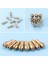10 Adet Matkap Mandalı Kolet Seti 1/32 Inç Ila 1/8 Inç Pirinç Hızlı Dönen Matkap Somunu Değiştirme 4485 4486 Anahtarsız Dril (Yurt Dışından) 2